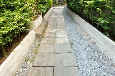 Tranquil garden path